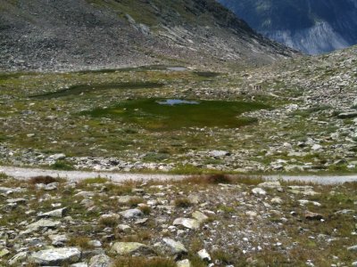 I-phone 290